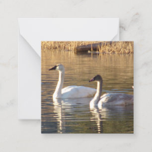 Paar witte zwanen Valentijnsdag Note Cards Notitiekaartje