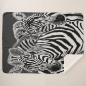 Paar Zebra Sherpa Blanket Deken (Voorkant (horizontaal))