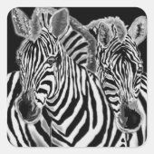 Paar Zebra Sticker (Voorkant)