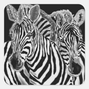 Paar Zebra Sticker