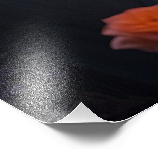 *~* Paar Zee Fantasy Romantisch AP51 Zonsondergang Foto Afdruk (Hoek)