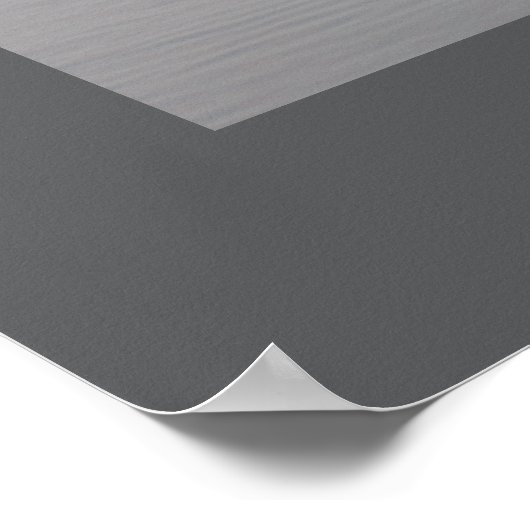 Paar Zwemmen Zwanen Poster (Hoek)