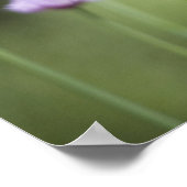 Paarbloemen van de tuinkruid poster (Hoek)