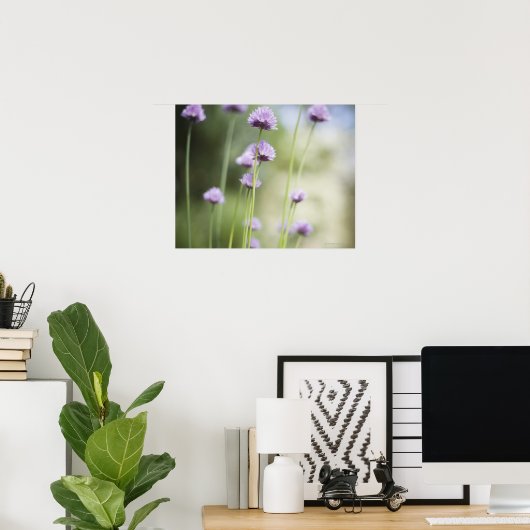 Paarbloemen van de tuinkruid poster (Thuiskantoor)