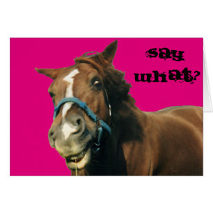 Paard