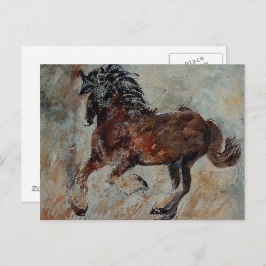 paard561 briefkaart (Voorkant / Achterkant)