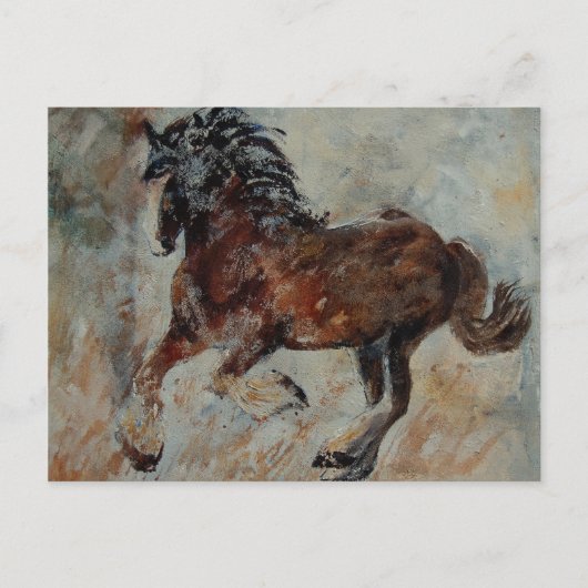 paard561 briefkaart (Voorkant)