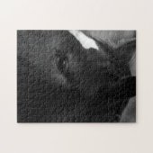 Paard 11x14 252pc jpcnm legpuzzel (Horizontaal)