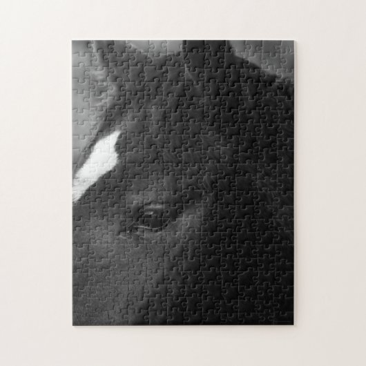 Paard 11x14 252pc jpcnm legpuzzel (Verticaal)