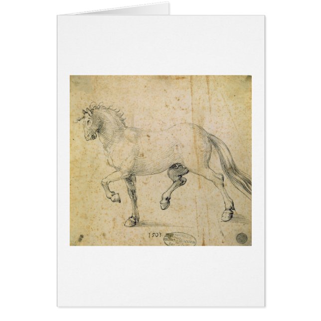 Paard, 1503 (pen en inkt op papier) (Voorkant)