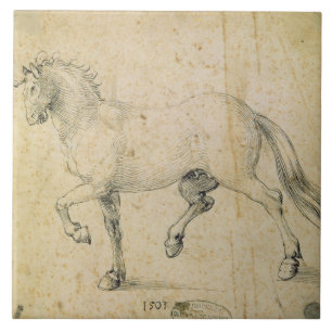 Paard, 1503 (pen en inkt op papier) tegeltje