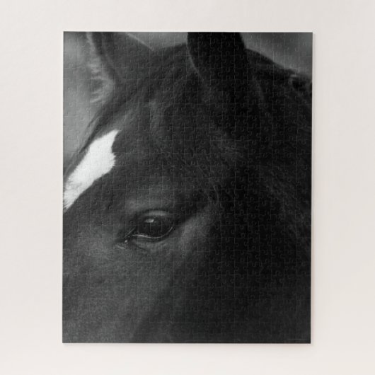 Paard 16x20 520pc jpcna legpuzzel (Verticaal)
