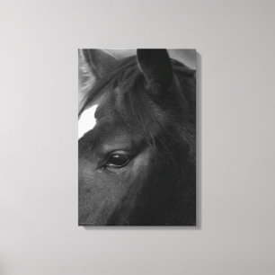 Paard 16x24 (40x60cm) waccnm canvas afdruk