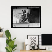 paard 1913 poster (Thuiskantoor)