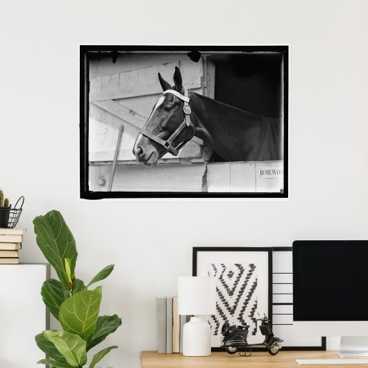  paard 1913 poster (Thuiskantoor)