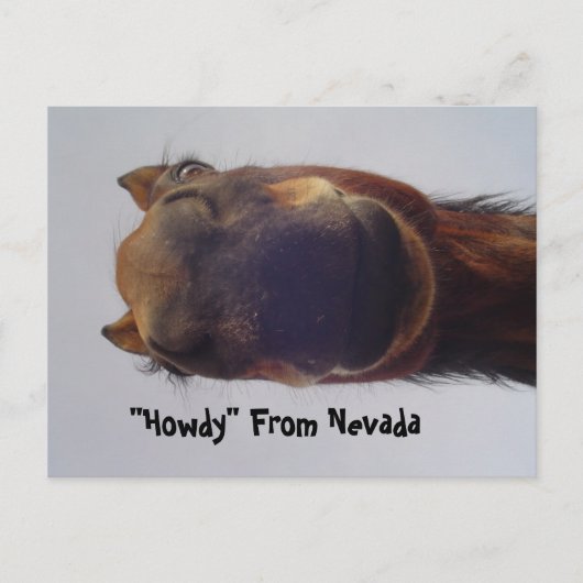 Paard 1 briefkaart (Voorkant)