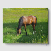 Paard #1 gastenboek (Achterkant)