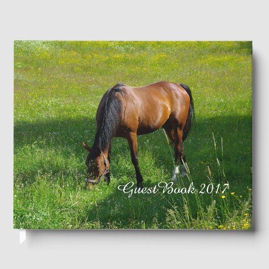 Paard #1 gastenboek (Voorkant)
