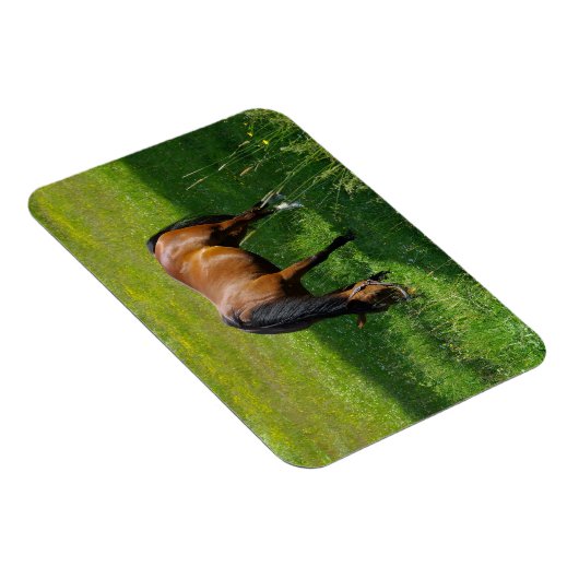 Paard #1 magneet (Rechterzijde)