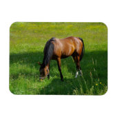 Paard #1 magneet (Horizontaal)