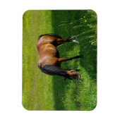 Paard #1 magneet (Verticaal)