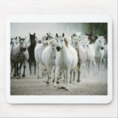 Paard (1) muismat (Voorkant)