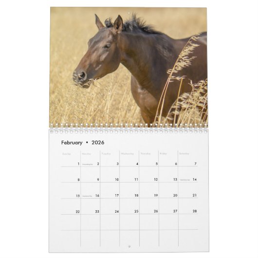 Paard 2025 kalender (Feb 2026)