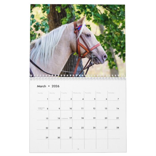 Paard 2026 kalender (Mar 2026)