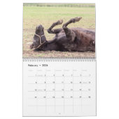 Paard 2026 kalender (Feb 2026)