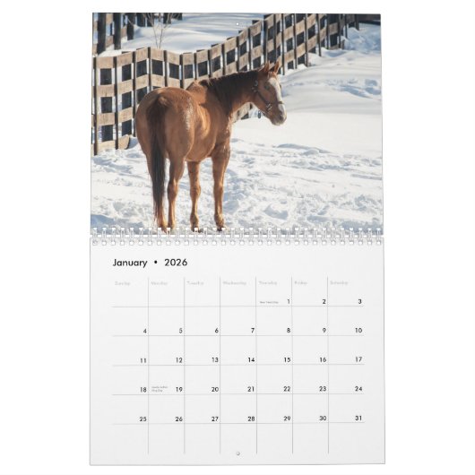 Paard 2026 kalender (Jan 2026)