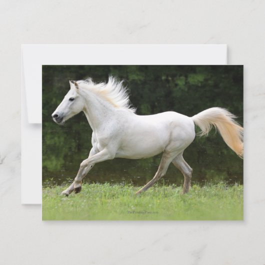 Paard 21e uitnodiging van de Birthday Party (Achterkant)