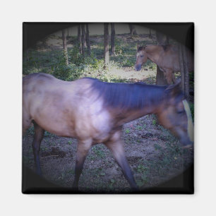 Paard 2 Magnet