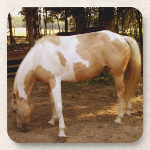 Paard 3 bier onderzetter