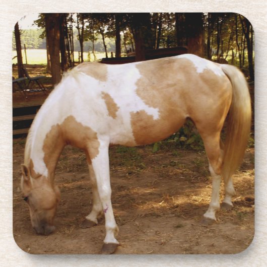 Paard 3 bier onderzetter (Voorkant)