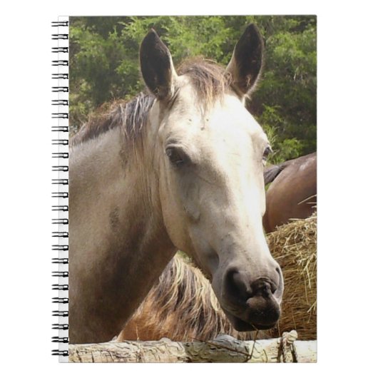 Paard 4 Notitieboek (Voorkant)