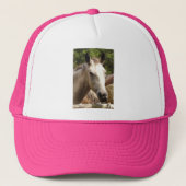 Paard 4 Pet (Voorkant)