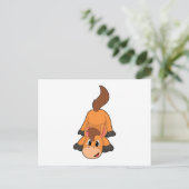 Paard aan het spelen briefkaart (Staand voorkant)