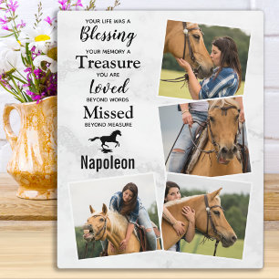 Paard Aandenken Herdenkingsfoto Collage Fotoplaat