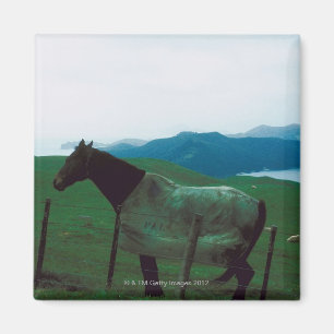 Paard achter hek magneet