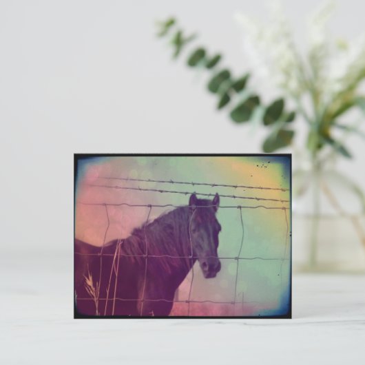 Paard achter het hek briefkaart (Staand voorkant)