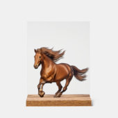 Paard Acryl Bord (Voorkant)