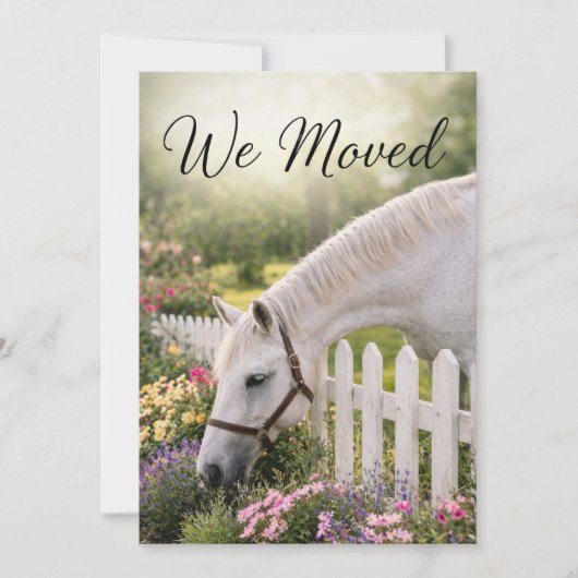 Paard Adreswijziging  Feestdagenkaart (Voorkant)