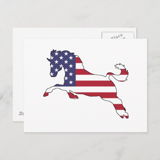 Paard "Amerikaanse vlag" Briefkaart (Voorkant / Achterkant)