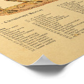 Paard Anatomie Veterinaire Grafiek Poster (Hoek)