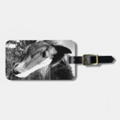 Paard Bagagelabel (Voorkant horizontaal)