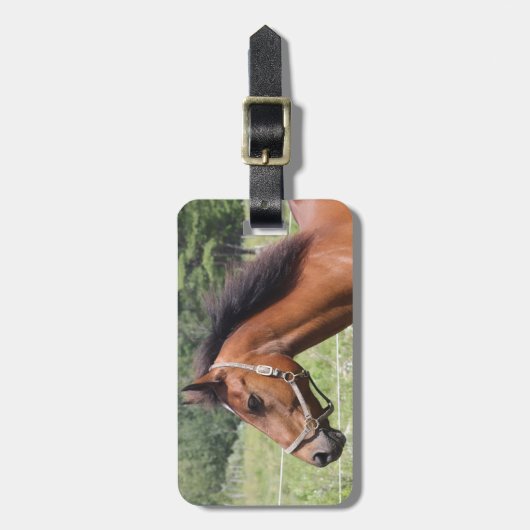 Paard Bagagelabel (Voorkant verticaal)