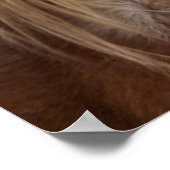 Paard Bangs Poster (Hoek)