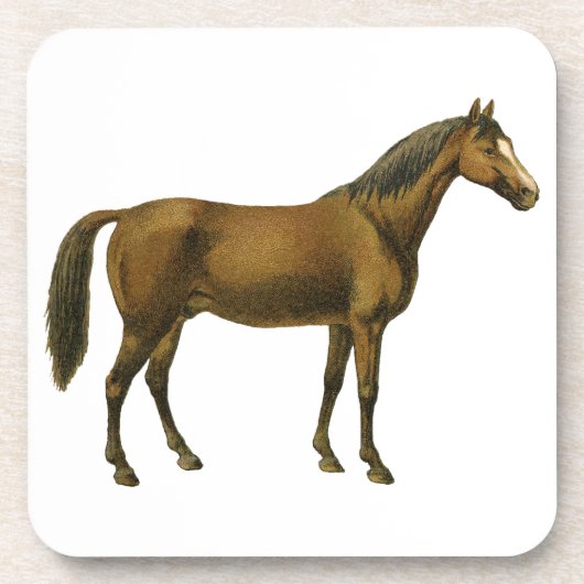 paard bier onderzetter (Voorkant)