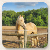 Paard Bier Onderzetter (Voorkant)