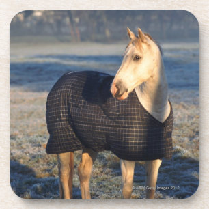 paard bier onderzetter